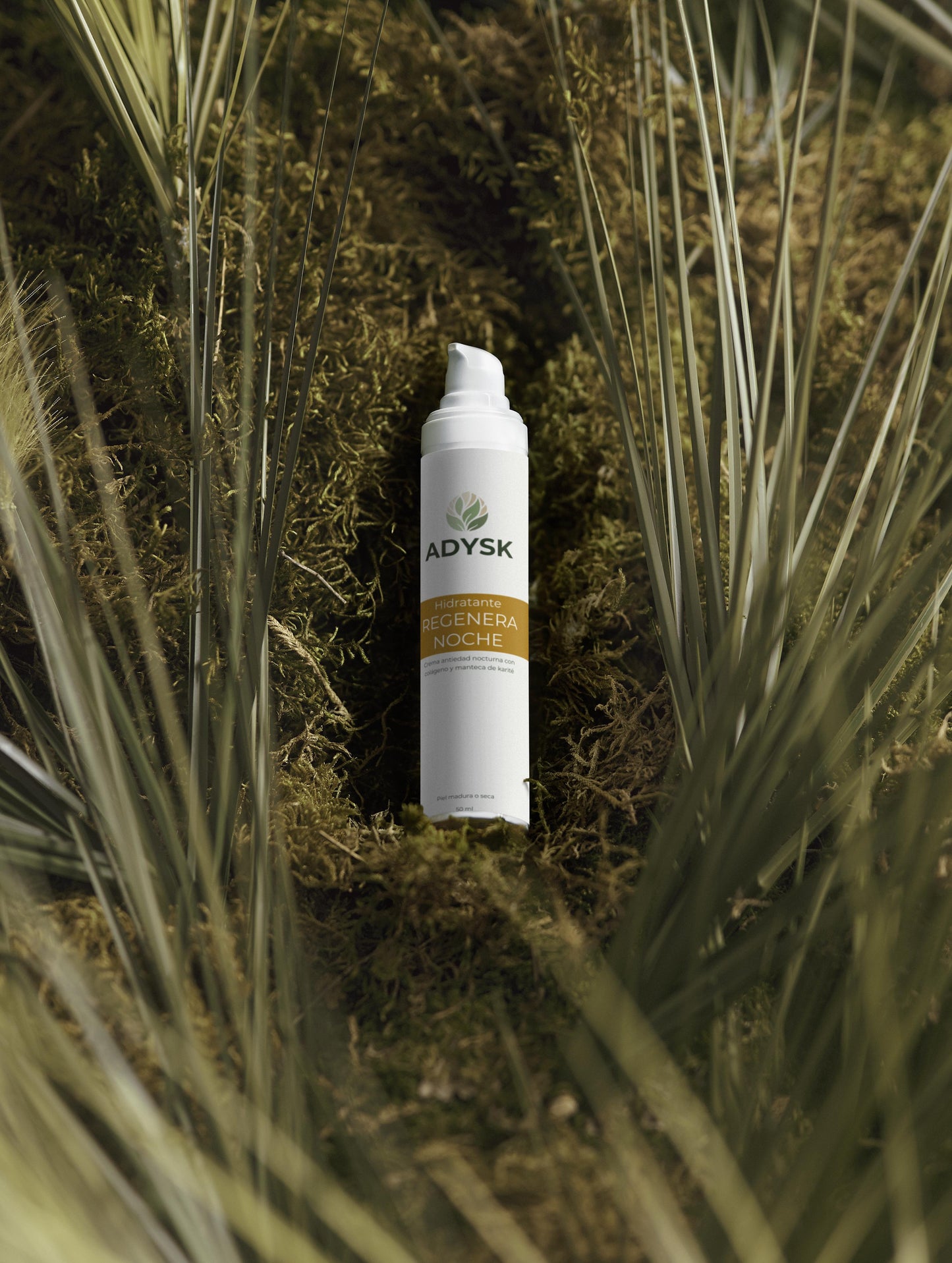 Hidratante REGENERA NOCHE