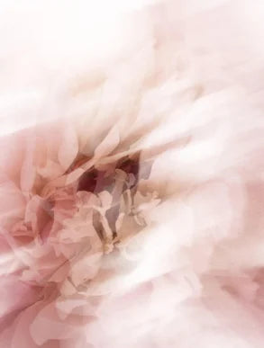 Hidratante REGENERA NOCHE