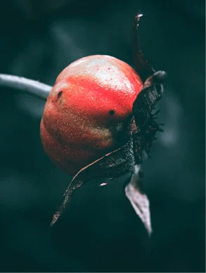 Sérum RETINATURAL